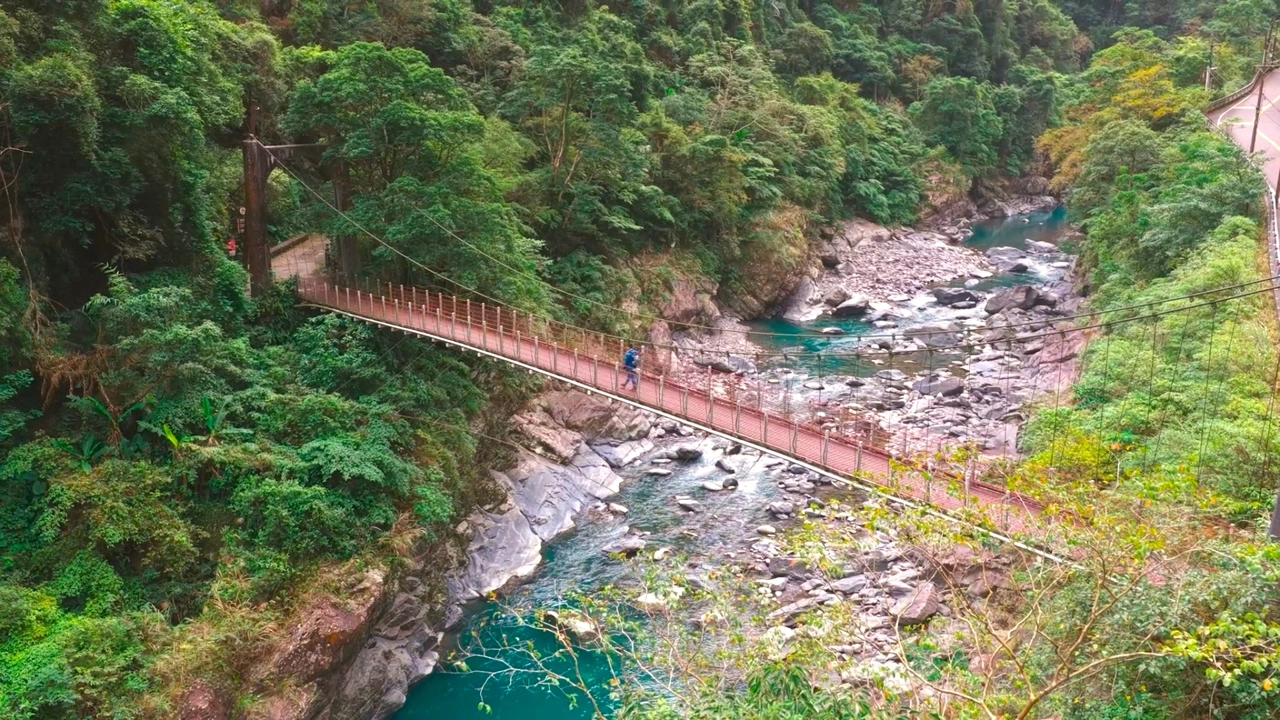 This Trail Is Perfect for Forest Bathing-City Escape Ep. 3