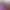 An Indigenous New Year on TaiwanPlus News – 18:30, January 26, 2023