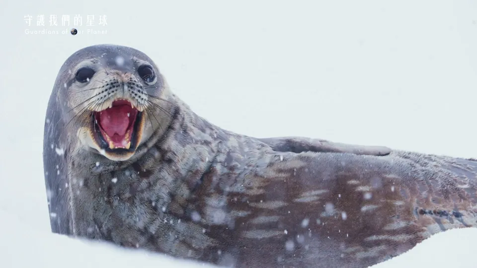 Guardians of Our Planet Ep. 3