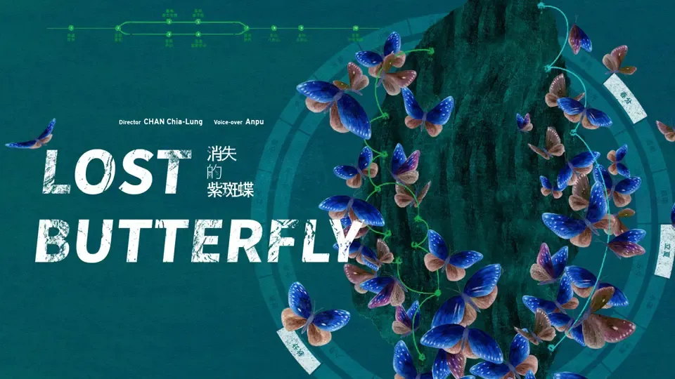 Lost Butterfly - Hightlights