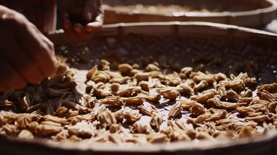 Taiwan's Food Delights - Three Hakka Treasures Ep17