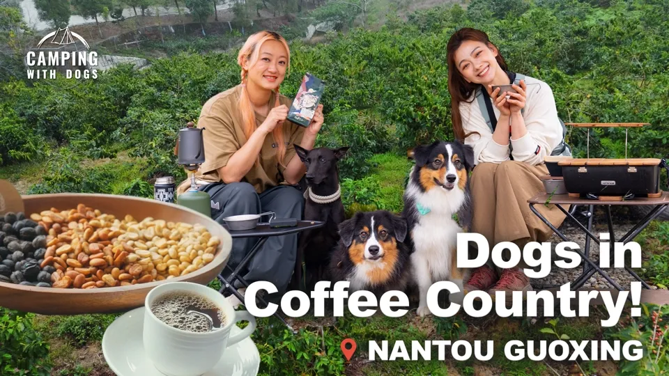 Taiwan’s Largest Camping Haven - Camping with Dogs Ep7