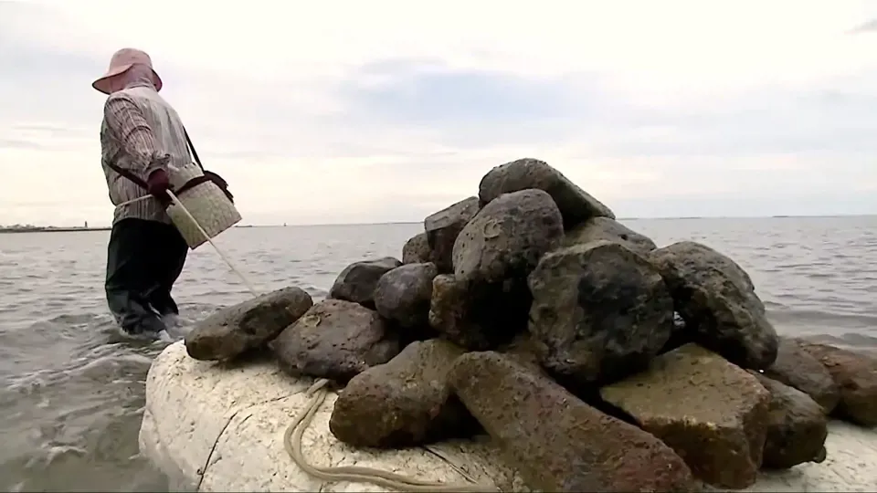Ocean: Penghu Rock Fishing