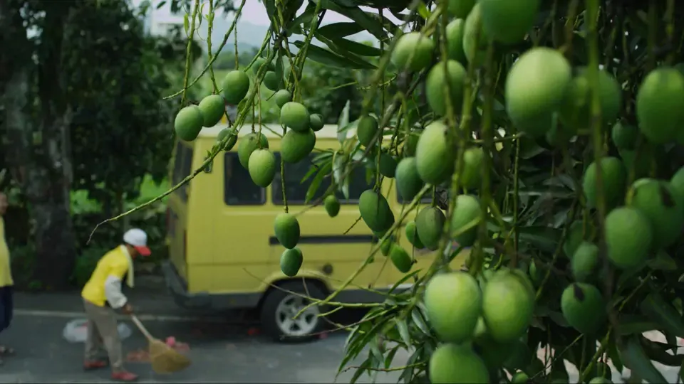 Taiwan's Food Delights - The 6th Month: The Slight Heat and Great Heat Ep32