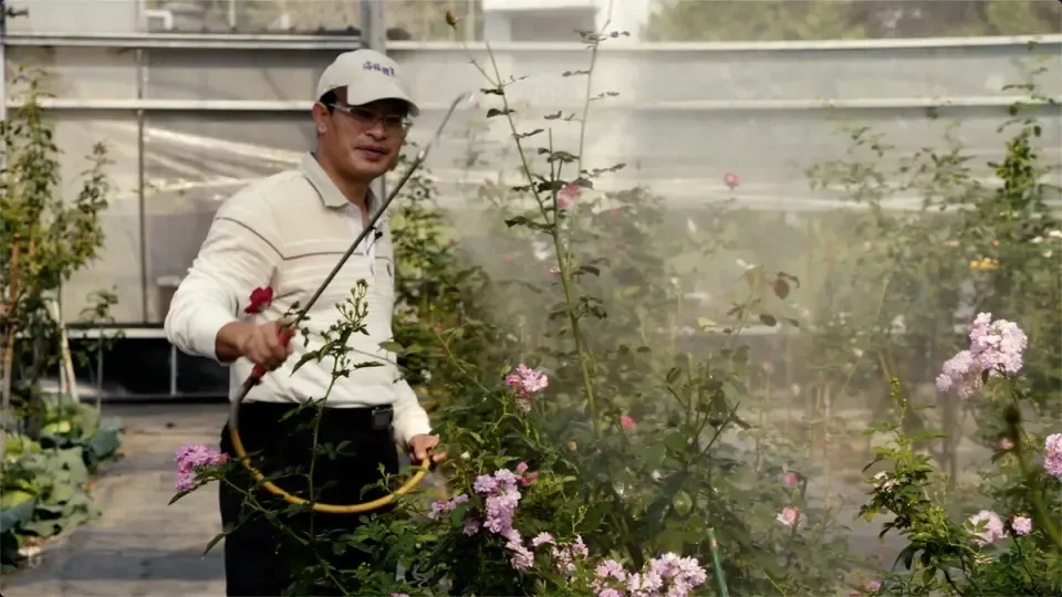 Standing Strong: A Silver Lining in the Rose Garden Ep5