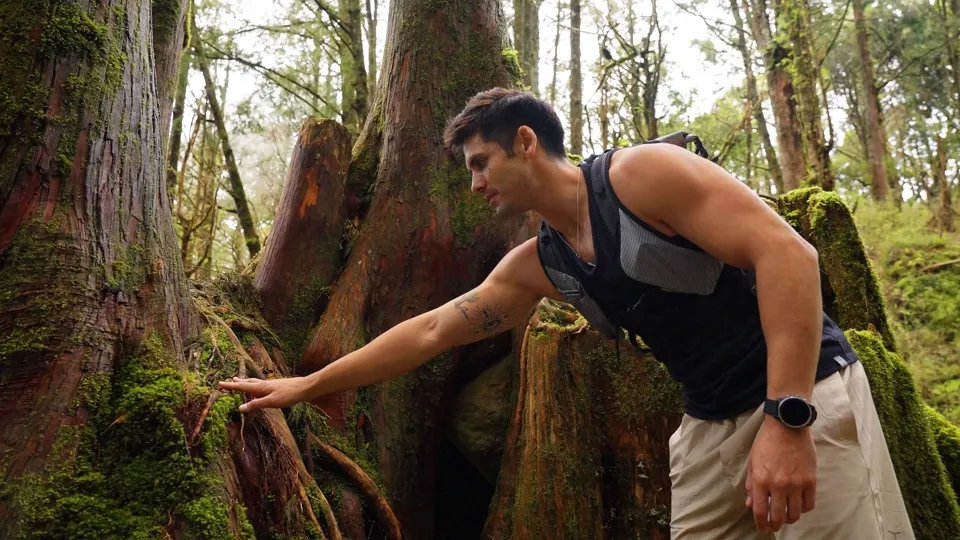 Discover the Tranquility of Hiking-City Escape Ep. 6