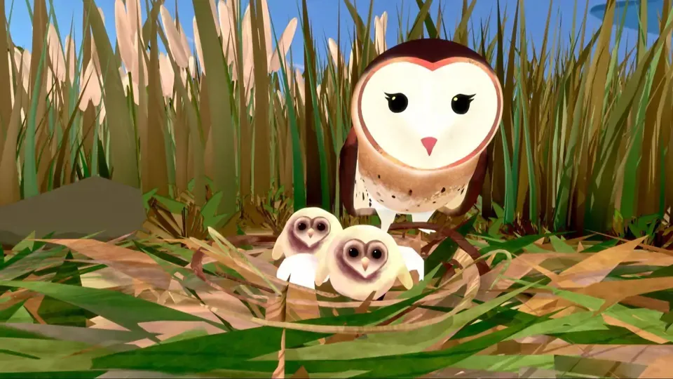 The Small Big: Eastern Grass Owls