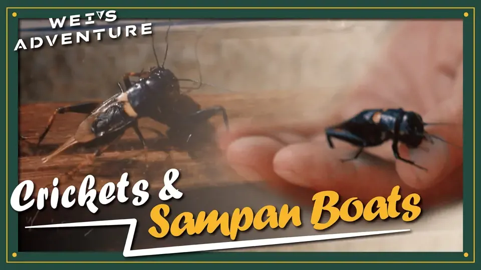 Wei’s Adventure -Cricket & Sampan Boat 