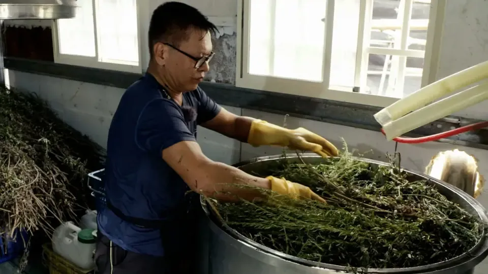 Never Give Up: Artemisia Garden Reborn Ep9