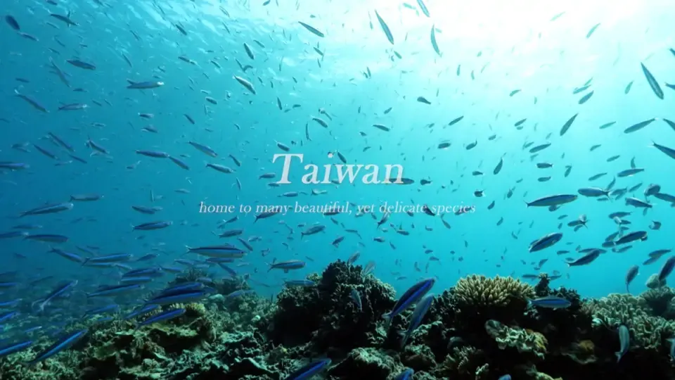 Earth Day - Taiwan's Endemic Species