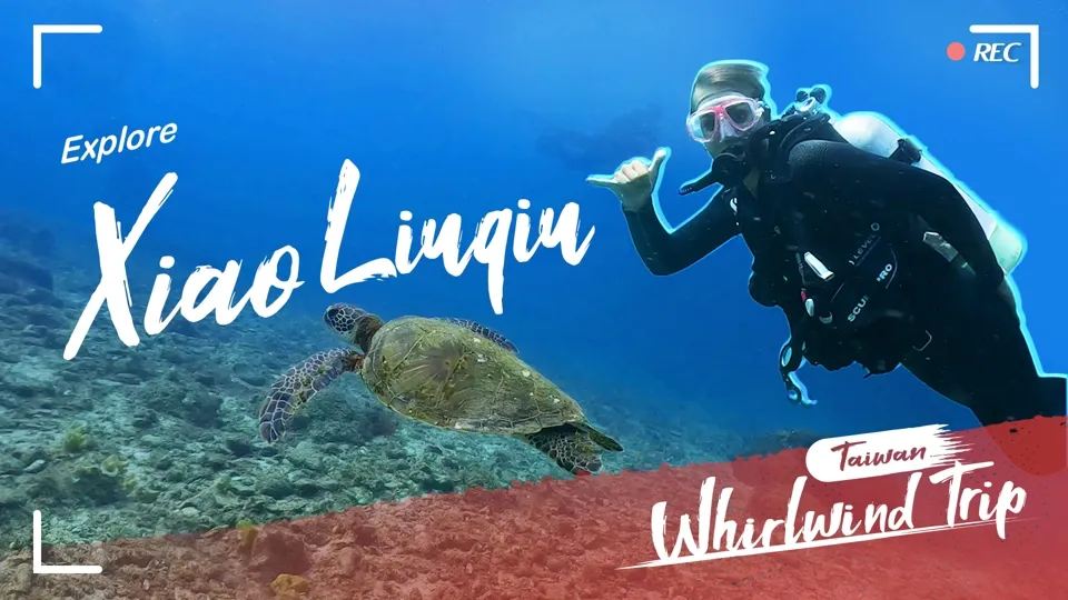 Sun, Sea, Sand, Sea Turtles, Xiao Liuqiu! - Whirlwind Trip Ep9