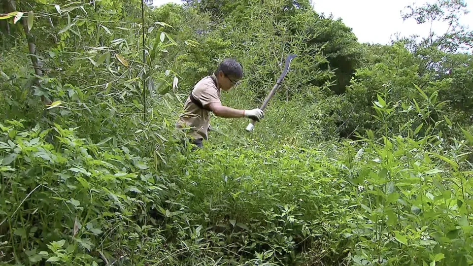 Stories of Kindness: Lessons I learned from Forest Restoration Ep5