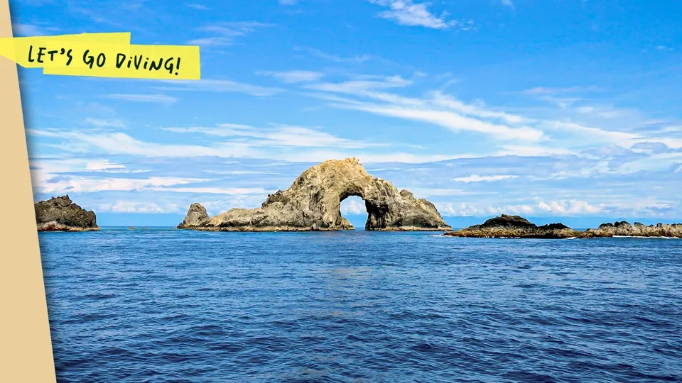 Diving in Green Island’s Glass Seas - Let’s Go Diving!  Ep6