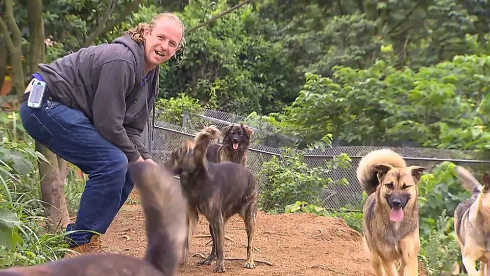 They Chose to Stay: Saving Man’s Best Friend in Taiwan Ep2