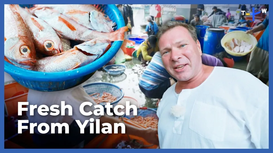 Happy Fisherman Ep56: Fresh Seafood Auction at Fishing Harbor in Northern Taiwan