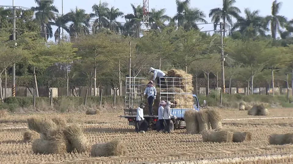 Standing Strong: The Determined Minsyong Straw Braider Ep4