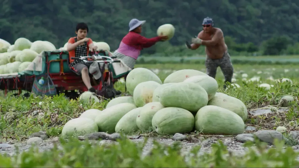 Taiwan's Food Delights – The 5th Month: Grain in Ear as Summer Arrives Ep31