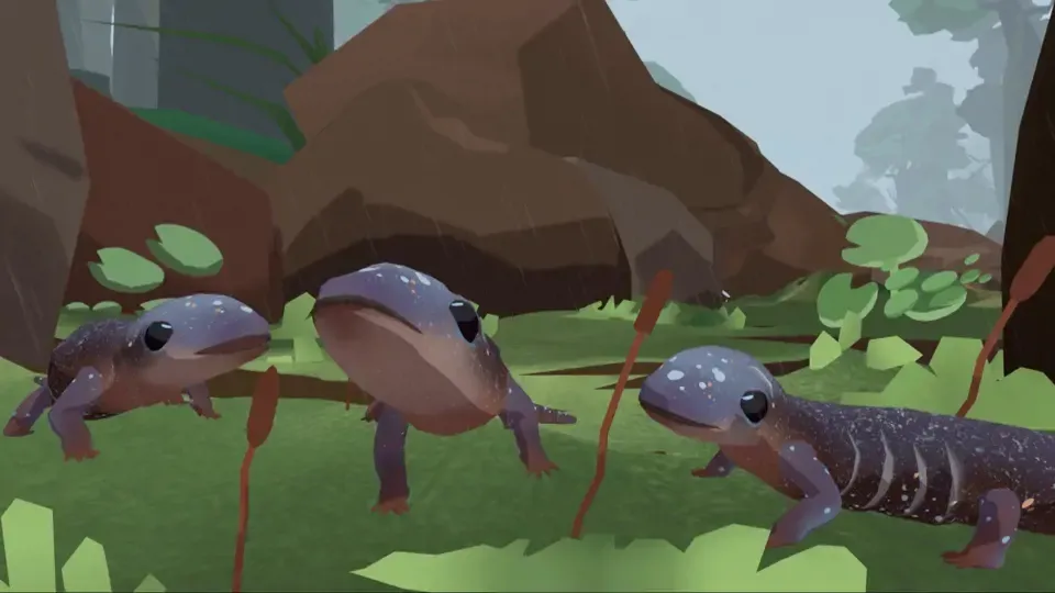 The Small Big: Taiwan Lesser Salamander