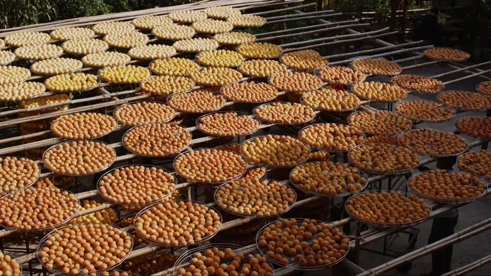 Taiwan's Food Delights - September Winds Delicacies Ep18