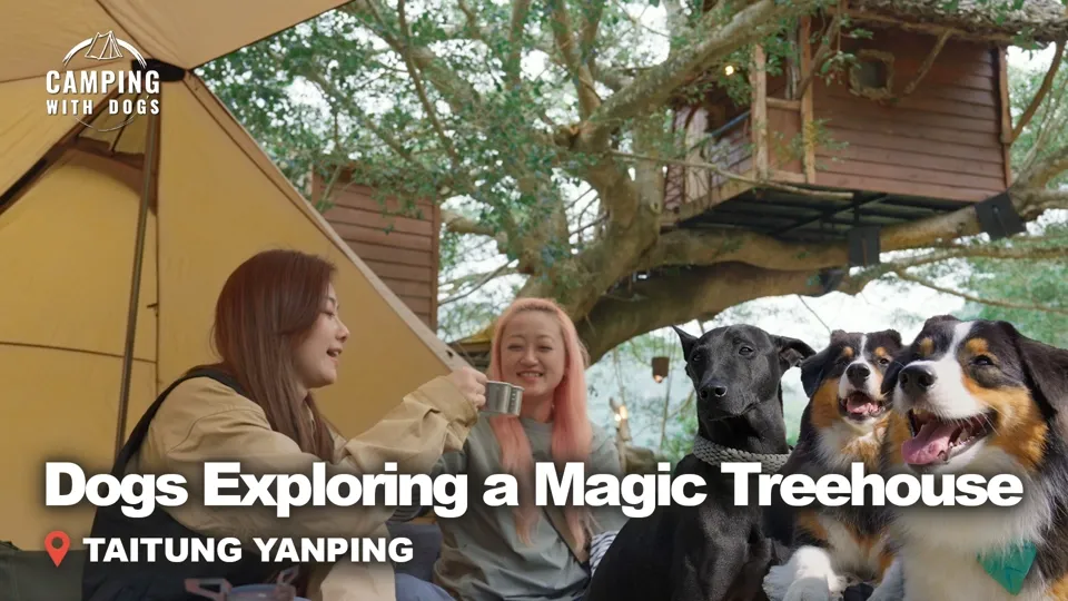 Camping in a Centuries Old Banyan Treehouse - Camping with Dogs Ep3