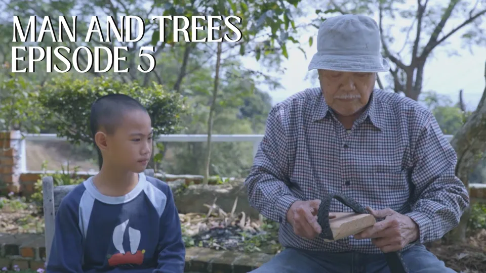 Hakka People’s Deep Connections to Chinaberry Trees - Man and Trees Ep.5