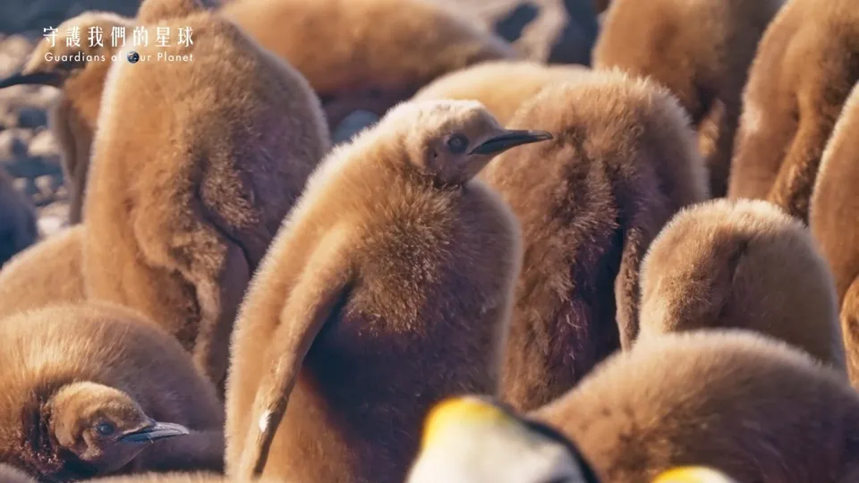 Guardians of Our Planet Ep. 1