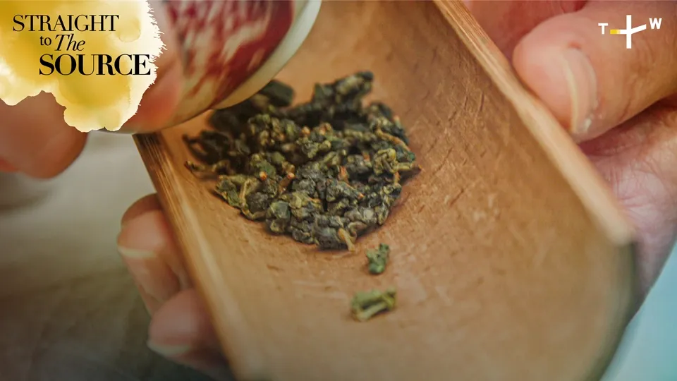 Taiwanese Tea: How it’s Picked and Processed Ep5