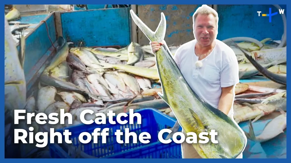 Happy Fisherman Ep58: Delving Into Fixed Net Fishing in Northern Taiwan