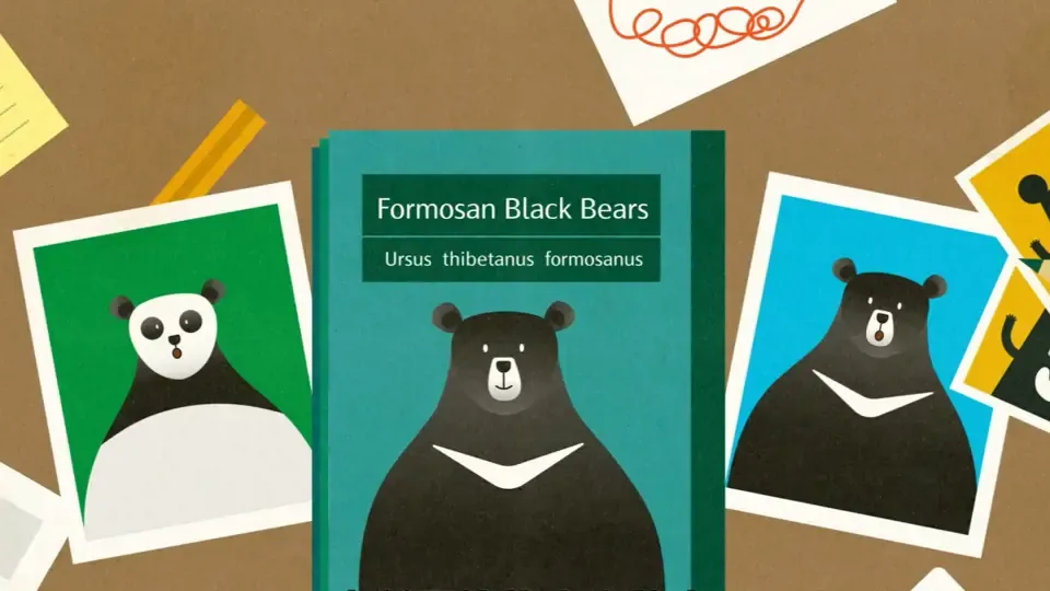 Stories about Formosan Black Bears and Their Crisis