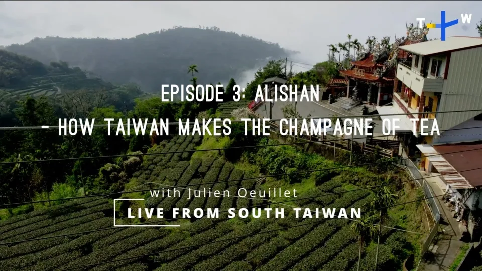 Why Alishan Tea is "Taiwan's Champagne" - Live From South Taiwan EP3