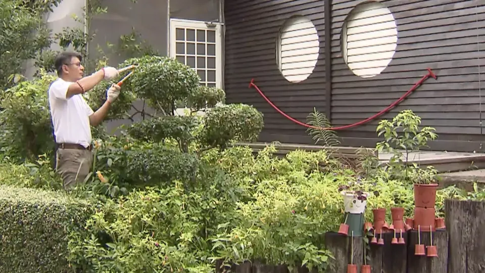 Standing Strong: The Tree Seed Bank that Saved Biodiversity Ep2