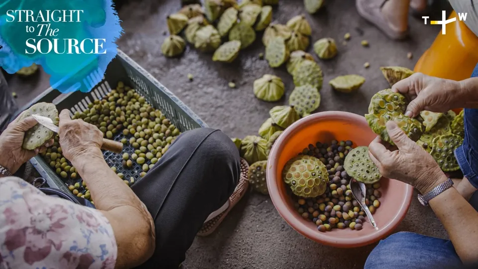 Harvesting Lotus Seeds is a Labor of Love-Straight to the Source S2 Ep. 3