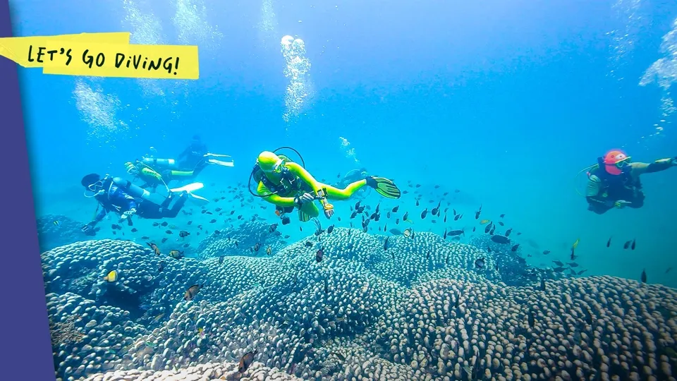 Diving at Decommissioned Power Plants - Let’s Go Diving!  Ep4