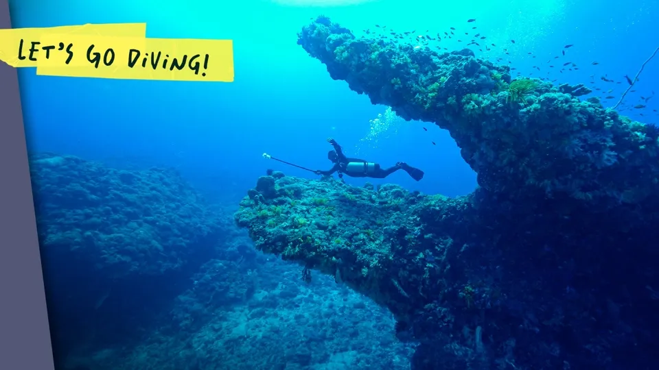 Green Island’s Most Instrammable Dive Spots! - Let’s Go Diving!  Ep8