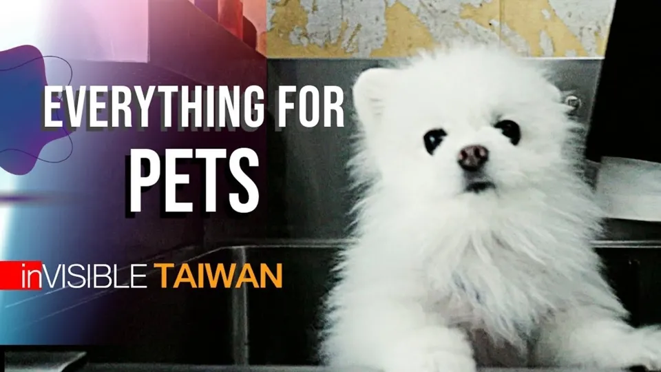 The Convenient Life of Fur Babies in Taiwan  - inVISIBLE TAIWAN Ep8