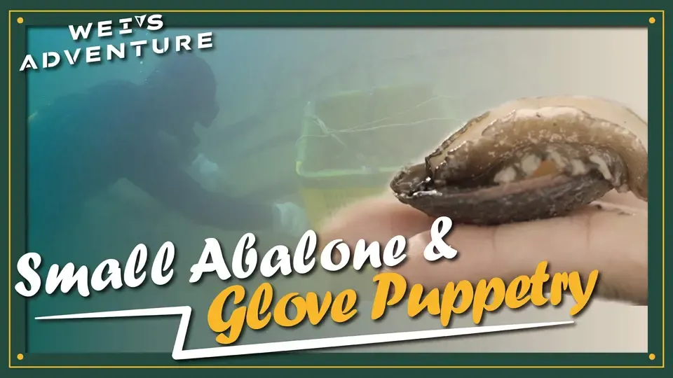 Wei’s Adventure -Small Abalone & Glove puppetry