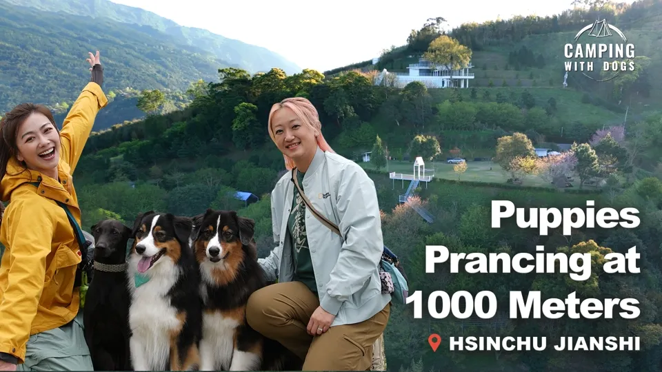 Camping at One Thousand Meters - Camping with Dogs Ep1