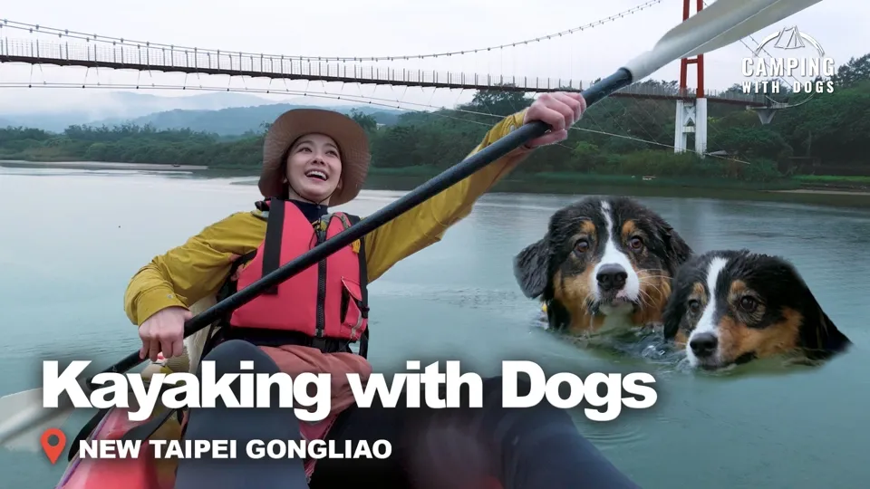 Welcoming Taiwan’s First Light of Dawn - Camping with Dogs Ep2