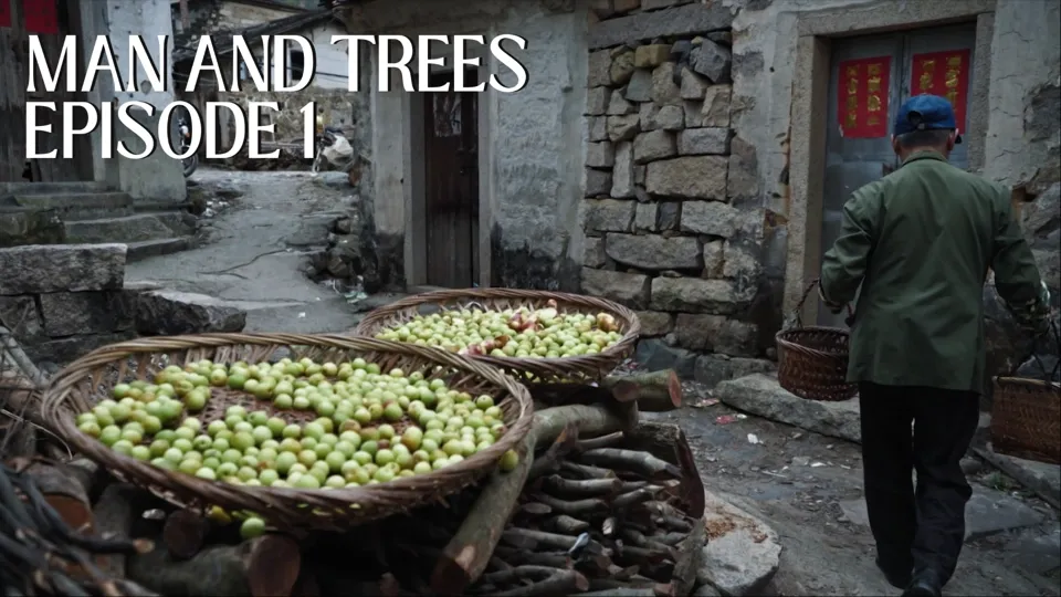 The Mighty Green Plum: Over 2,000 Years of Hakka Tradition - Man and Trees Ep.1