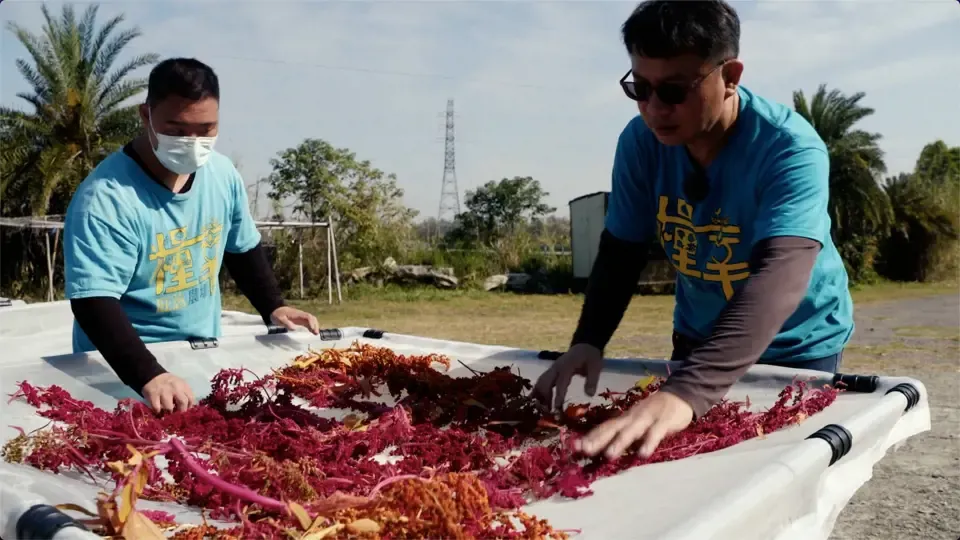 Stories of Kindness: Amazing Grace in a Red Quinoa Farm Ep6
