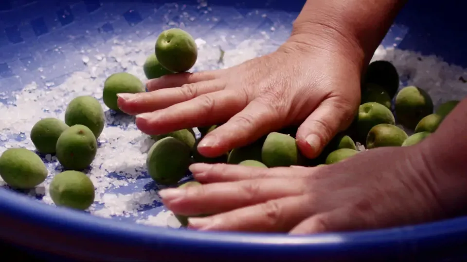 Taiwan's Food Delights - Plum Banquet Ep21