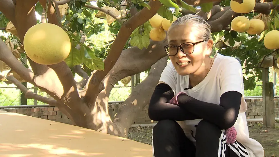 Never Give Up: Miss Brave and Her Pomelo Orchard  Ep5