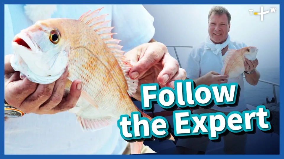 Happy Fisherman EP41: Fishing in a Secret Spot off the Shore of Taichung