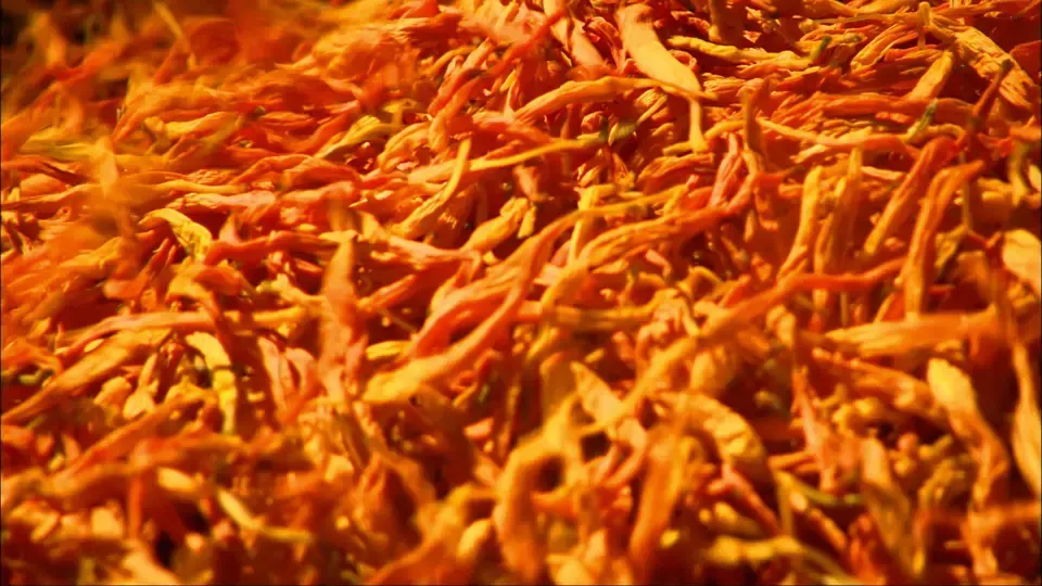 Taiwan's Food Delights - Daylily Ep16