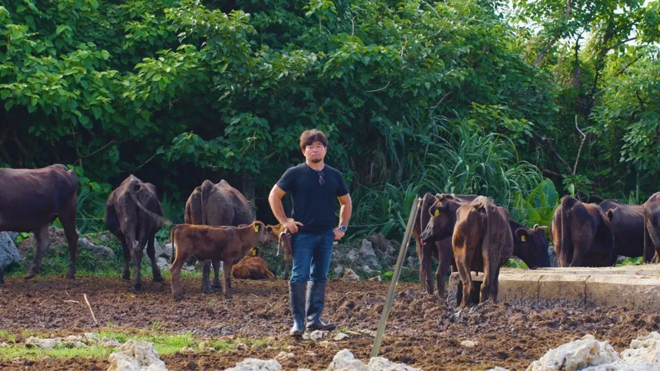 Will This Island Be a New Trade Hub for Japan? - Frontline Residents Ep4