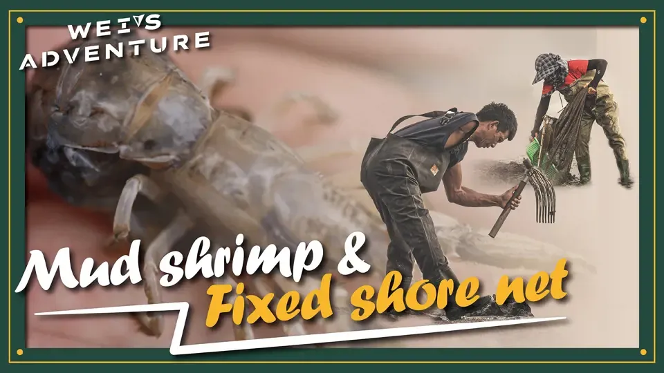 Wei’s Adventure - Mud Shrimp & Fixed Shore Net 