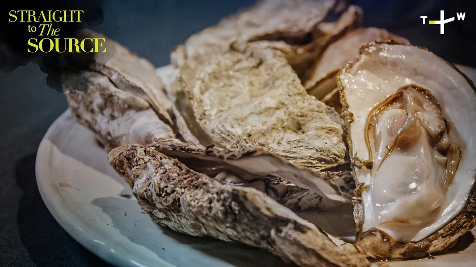 How Oysters are Farmed in the Largest Inland Sea of Taiwan Ep4