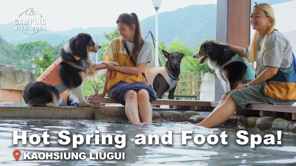 Campsite With Hot Springs - Camping with Dogs Ep8