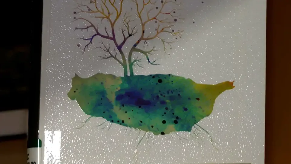 Flourishing Cultural Exchanges Between Taiwan And The World