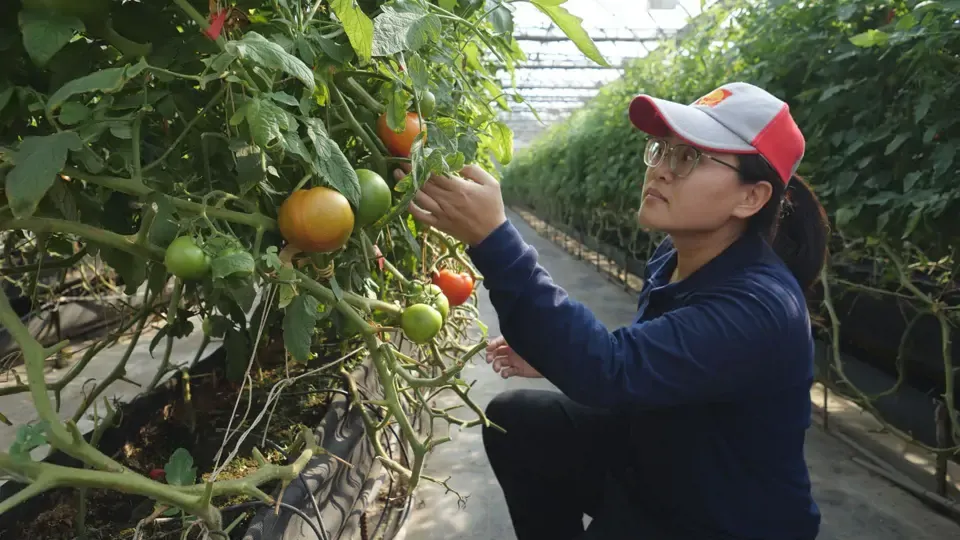 Smart Farming - Full Episode